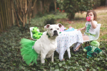 Green Christmas Dog Tutu Skirt (Large)