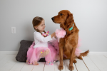 Light Pink Dog Tutu Skirt (Medium)