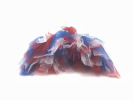 Red/White/Blue 4th Of July Dog Tutu Skirt Medium)