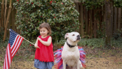 Red/White/Blue 4th Of July Dog Tutu Skirt (Large)