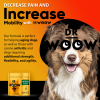 Dr Woow Hip and Joint Support Soft Chews