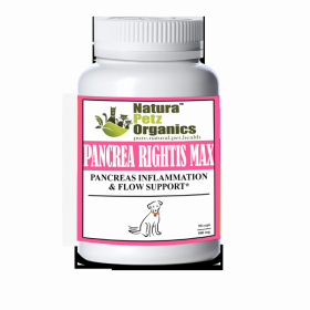 Pancrea Rightis Max Support* Capsules Pancreas Inflammation & Flow Support Dogs Cats* (size: DOG - 90 caps / 500 mg)