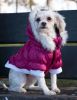 Metallic Fashion Pet Parka Coat